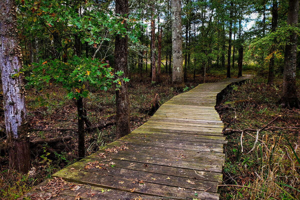 Who doesn't like a boardwalk through the woods while out for a hike?