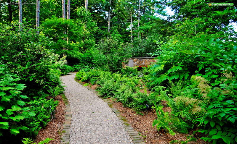 Frelinghuysen Arboretum